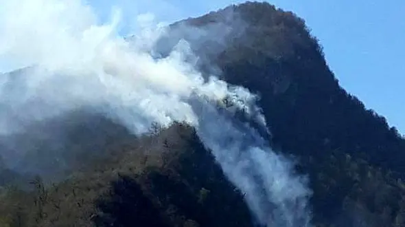 باران؛ آتش جنگل های کجور را خاموش کرد!