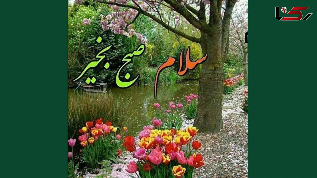 فال روزانه شخصی / 30 دی ماه + فیلم