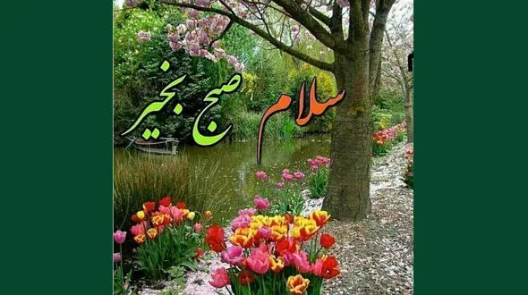 فال روزانه شخصی / 30 دی ماه + فیلم