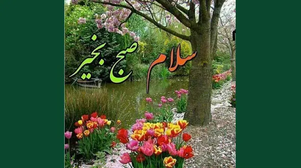 فال روزانه شخصی / 30 دی ماه + فیلم