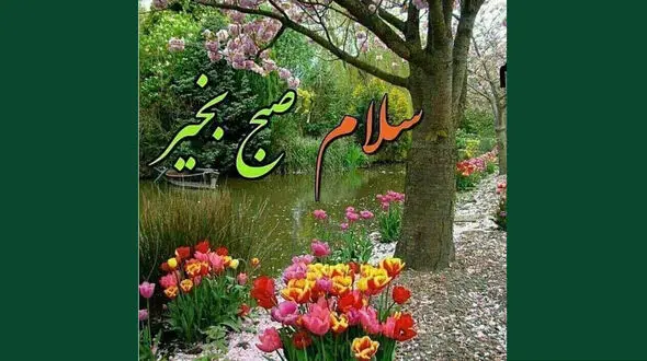 فال روزانه شخصی / 30 دی ماه + فیلم