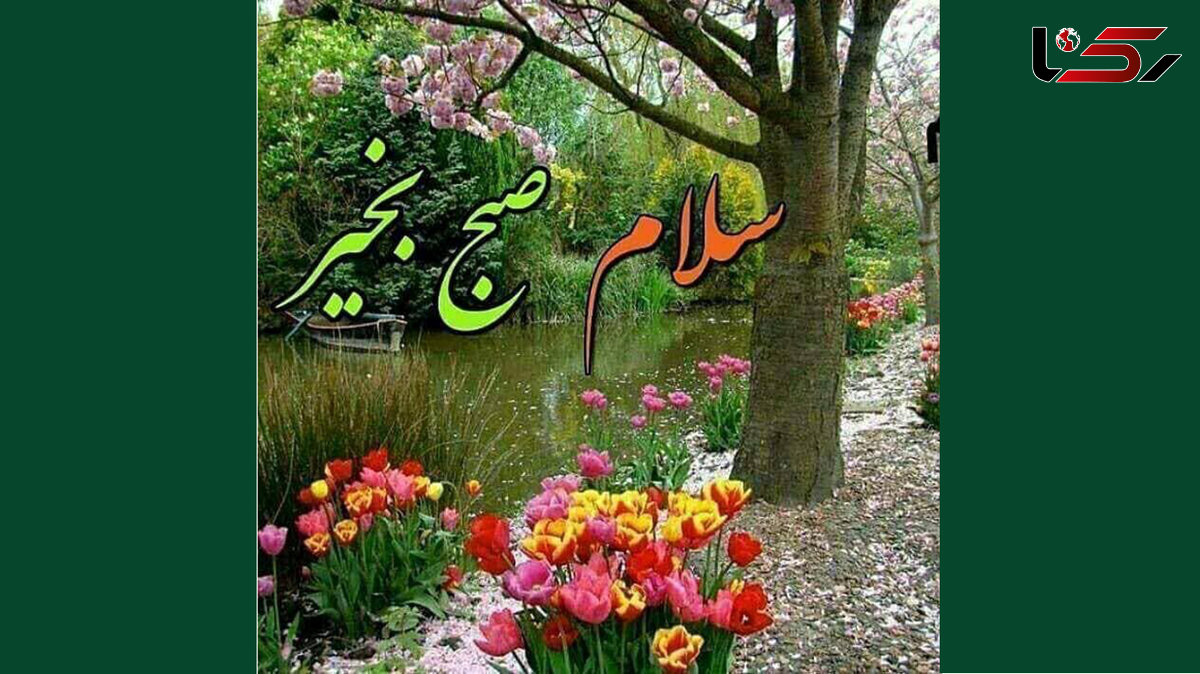 فال روزانه شخصی / 30 دی ماه + فیلم