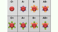 غذاهای مناسب برای گروه های خونی مختلف
