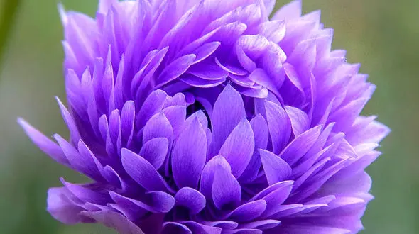 فال ابجد امروز / 19اردیبهشت ماه + فیلم 