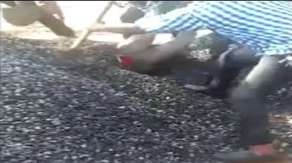 لحظات نفس‌گیر نجات کارگر مدفون شده + فیلم