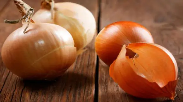 کاهش وزن با پوست پیاز