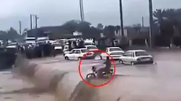 هرگز به تماشای سیل نروید + فیلم