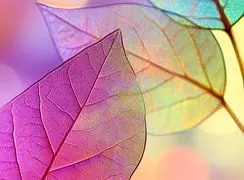 فال ابجد محشر 26 آذر