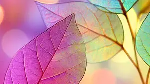 فال و طالع بینی امروز چهارشنبه 20 اسفند 