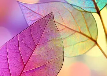 فال ابجد محشر 26 آذر