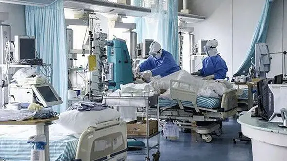 40 مهمان عروسی در مرودشت کرونایی شدند / حالشان وخیم است