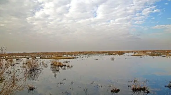 بندعلی‌خان دوباره آب می‌گیرد؛ امید به مهار گردوغبار تهران
