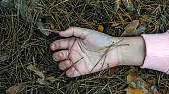 کشف جسد یک زن ! / آثار آزار شیطانی + عکس