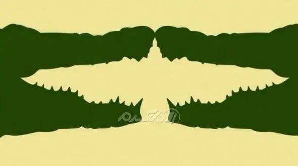 تست : اولین چیزی که در شکل میبینی چیست؟ / چه چیزی دوست داری ؟!