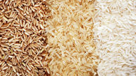 واردات برنج 50 درصد کاهش یافت