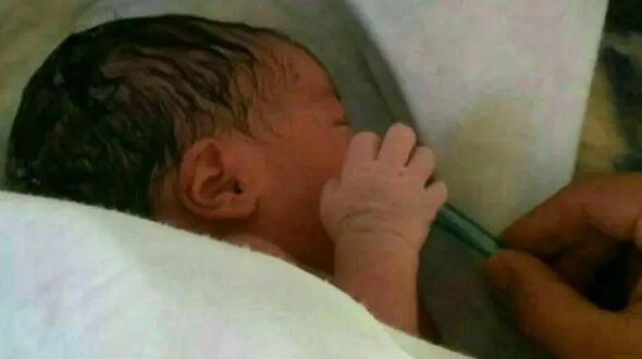 تولد دو قلوها عجول شمیرانی در آمبولانس+ عکس 
