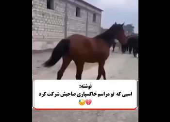 اسبی که در مراسم خاکسپاری صاحبش شرکت کرد