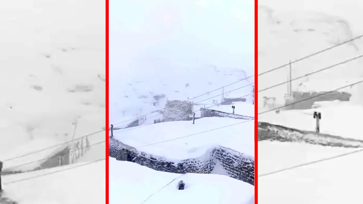 فیلم مناظر زمستانی دامنه های سهند