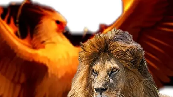 از صدای سلطان جنگل تا پرنده ای افسانه ای