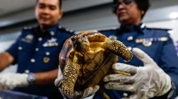 محتویات چمدانی که توجه رسانه ها را به خود جلب کرد 