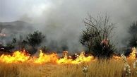 آتش‌سوزی در جنگل‌های بلوط کهگیلویه و بویراحمد ادامه دارد