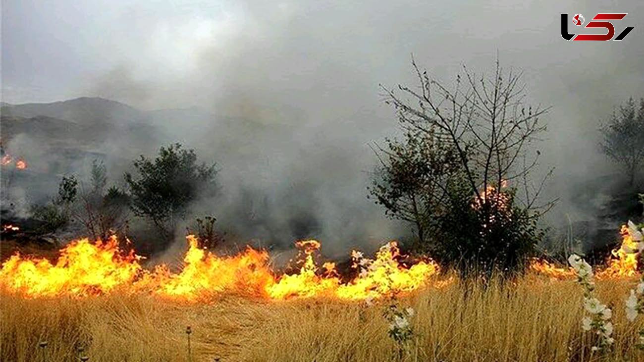  آتش سوزی هولناک در ارتفاعات رزک فارس