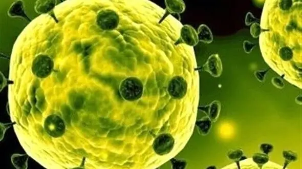 کرونا در بلژیک ۳۷ قربانی گرفت