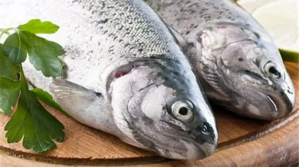 نرخ مصوب انواع آبزیان در میادین میوه و تره بار