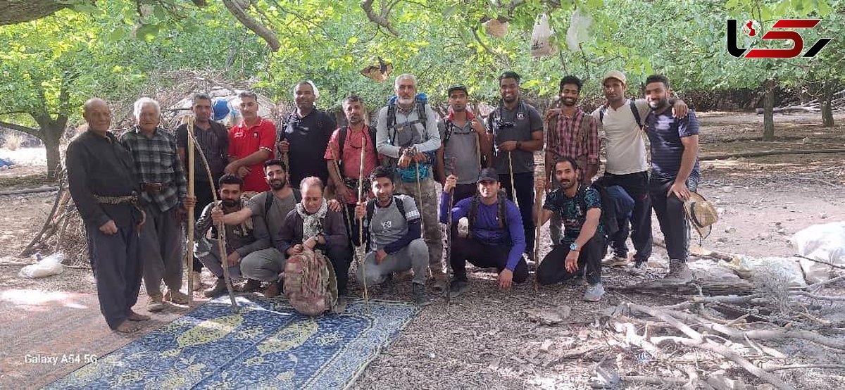 ۲۵۰ هکتار سوخت؛ کهنسالترین درختان جنوب ایران در شعله آتش هماگ خاکستر شدند / از اورسهای ۳۰۰ ساله تا گونهای کهن و مراتع بومی + فیلم