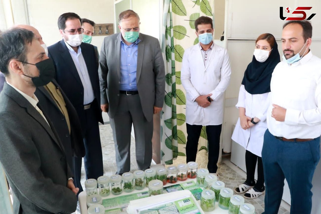 افتتاح واحد فرآوری کود مایع ماهی در بویین زهرا 