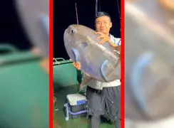 فیلم حقایق شگفت انگیز خورشیدماهی