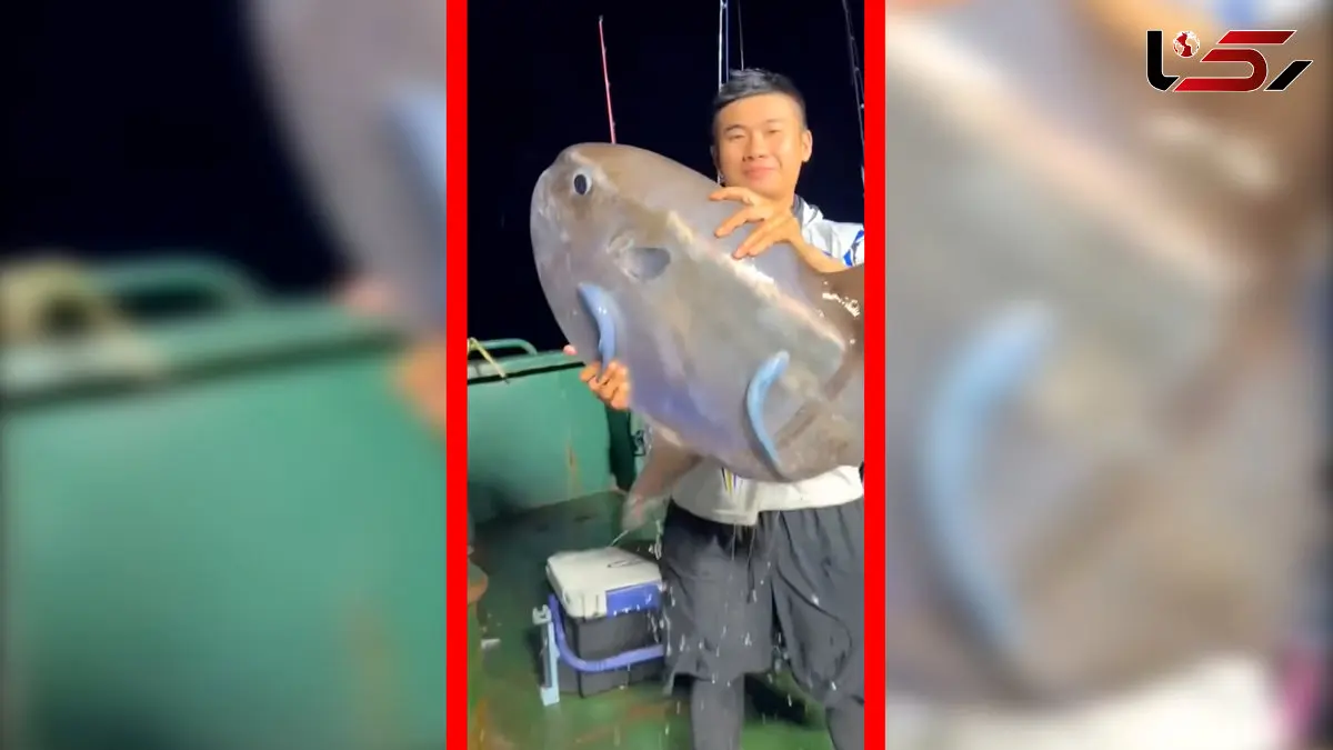 فیلم حقایق شگفت انگیز خورشیدماهی