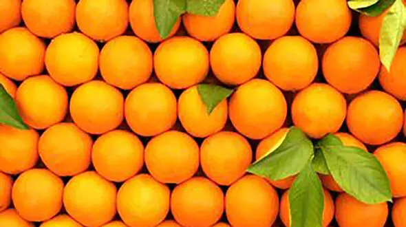 قیمت پرتقال شب عید بالای 10 هزار تومان + جزئیات