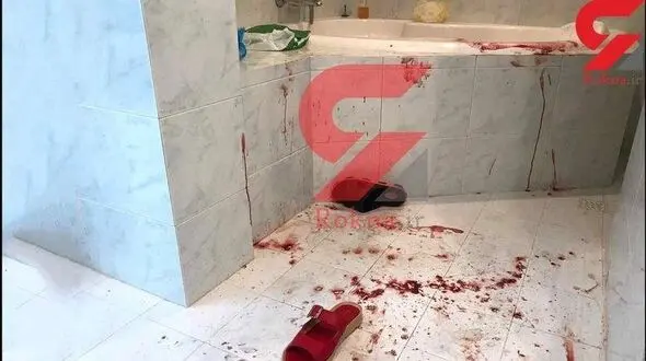 چرا کیفرخواست نجفی ۵ روزه صادر شد؟/ پیچیدگی‌های قتل میترا استاد+ عکس حمام