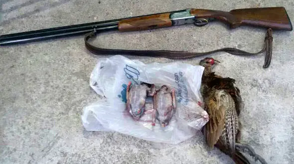 پشت پرده تیراندازی ها در گرگان / شکارچی متخلف بازداشت شد