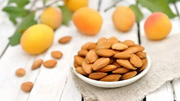 ترفندهای داشتن موهای پرپشت