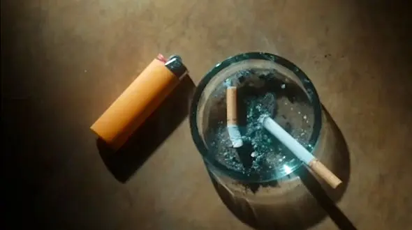 فیلتر سیگار ، تخریب کننده جدی محیط زیست + فیلم