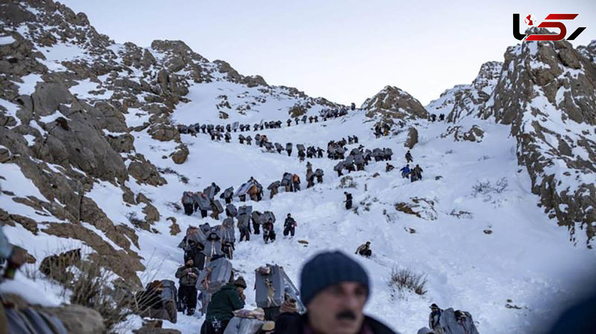 نماینده مجلس: کولبر برای نان می‌جنگد و قاچاقچی نیست