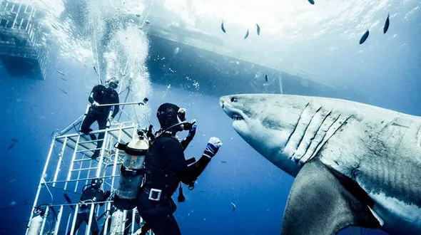 این عکاس یکی از خطرناک ترین عکس های جهان را ثبت کرد+تصاویر