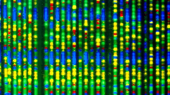 Personalized gene editing saved one baby — could it be expanded to many?