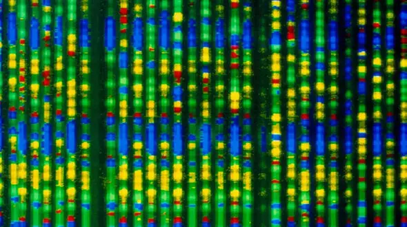 Personalized gene editing saved one baby — could it be expanded to many?
