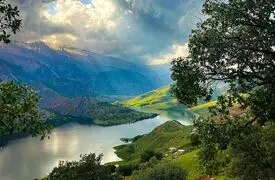 هر روز یک قدم به رویایت نزدیک‌ تر