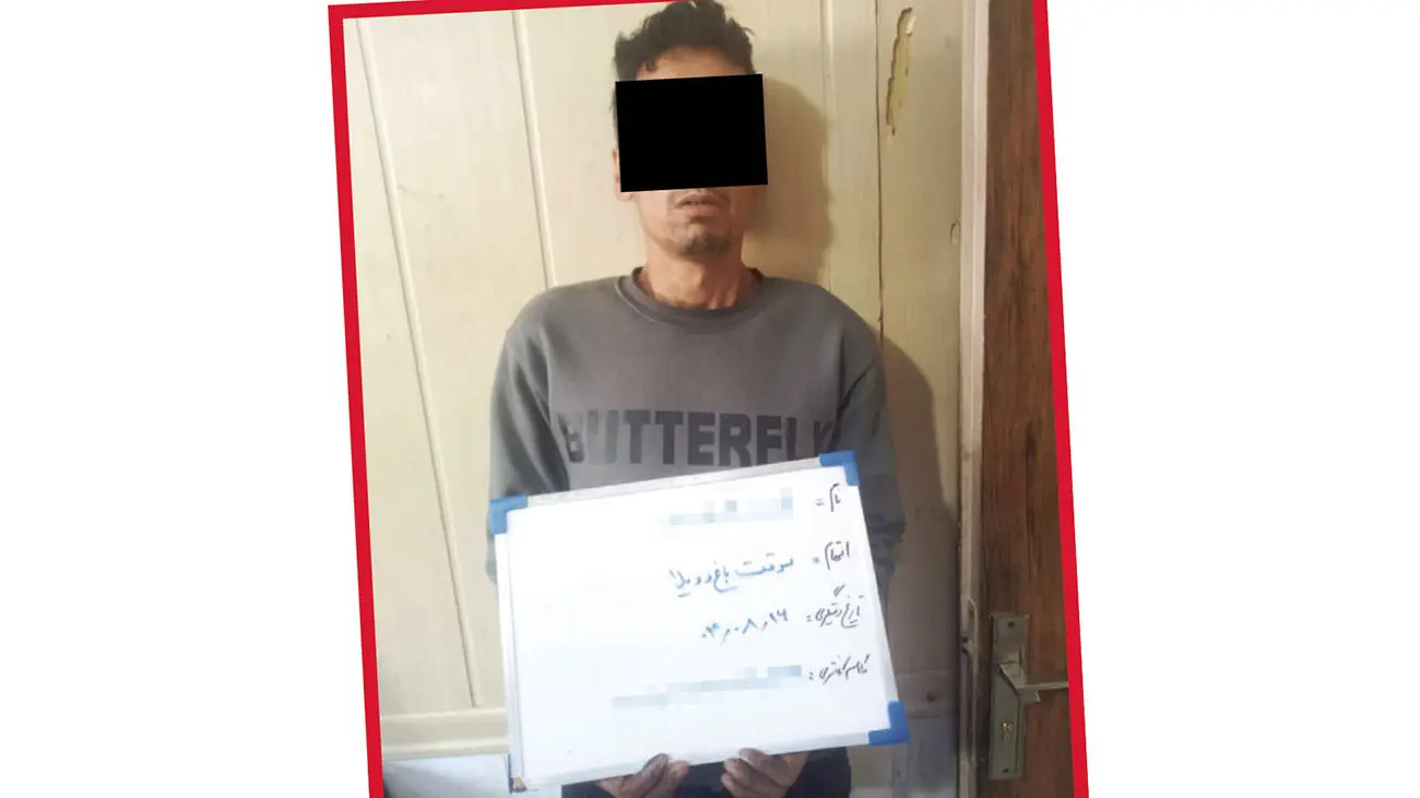 اتاقک مواد، لوکیشن آخر شبح باغ‌ویلاها شد / پلیس سارق را از دیوار بیرون کشید