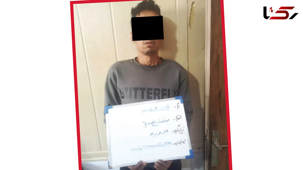 اتاقک مواد، لوکیشن آخر شبح باغ‌ویلاها شد / پلیس سارق را از دیوار بیرون کشید