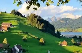 حس زنده بودن در دل روز