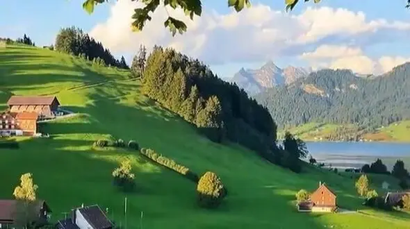 حس زنده بودن در دل روز