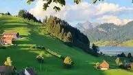 حس زنده بودن در دل روز