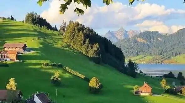 حس زنده بودن در دل روز
