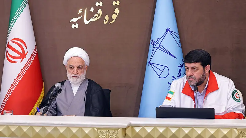 حجت‌الاسلام والمسلمین محسنی اژه‌ای ، طی سخنانی در دیدار با رئیس و جمعی از معاونین جمعیت هلال احمر