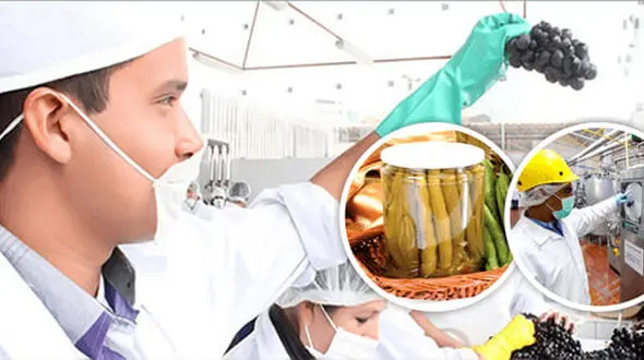 prps چیست؟ / جداول مرتبط به همراه مراحل اجرای پی آر پی اس